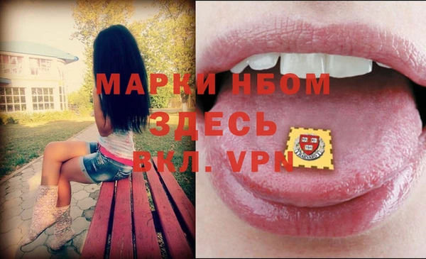 стаф Абинск